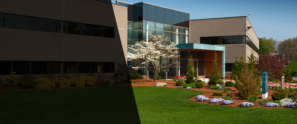 Leesburg Landscapers