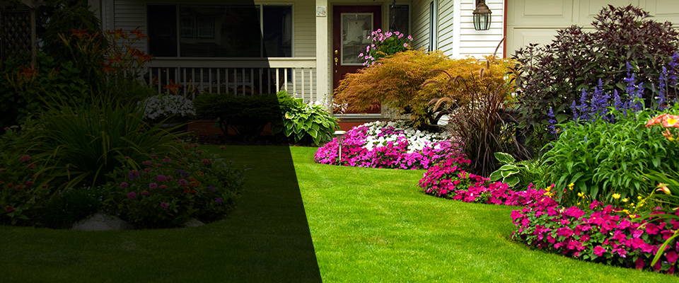 Leesburg Landscapers