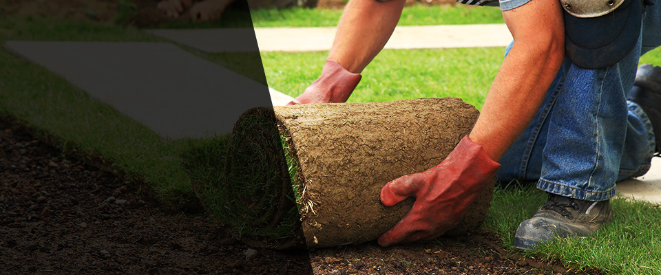 Leesburg Landscapers